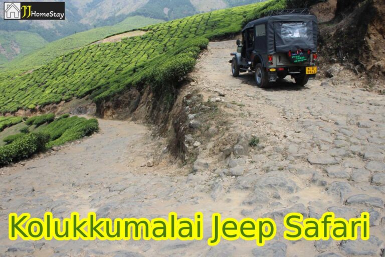 Kolukkumalai Jeep Safari in Munnar