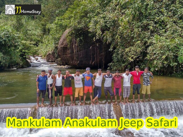 Mankulam and Anakulam Jeep Safari: A Wild Encounter