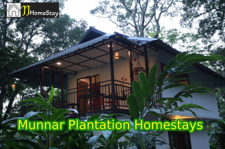 Munnar Plantation Homestays