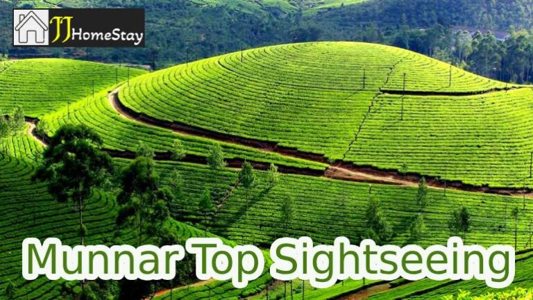 Munnar Top Sightseeing