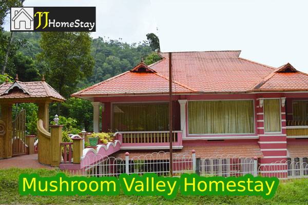 Mushroom Valley Homestay