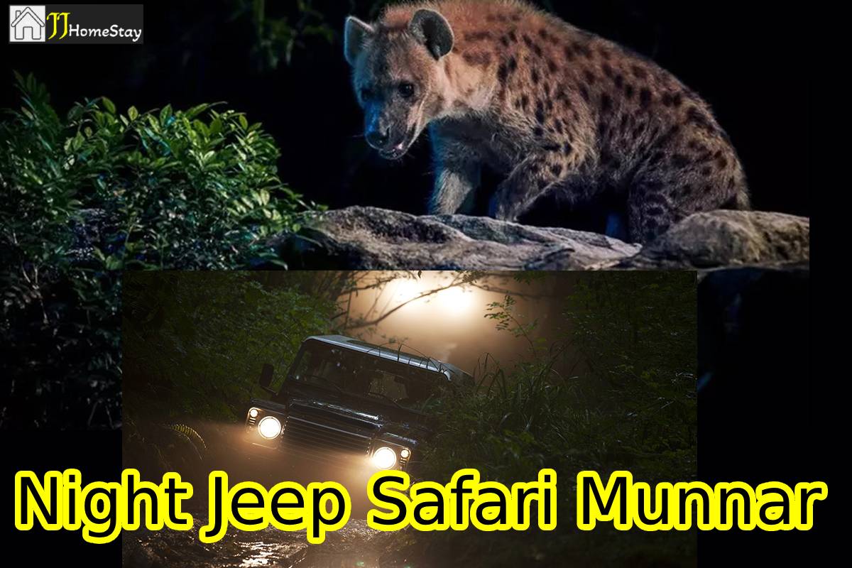 Munnar Night Jeep Safari