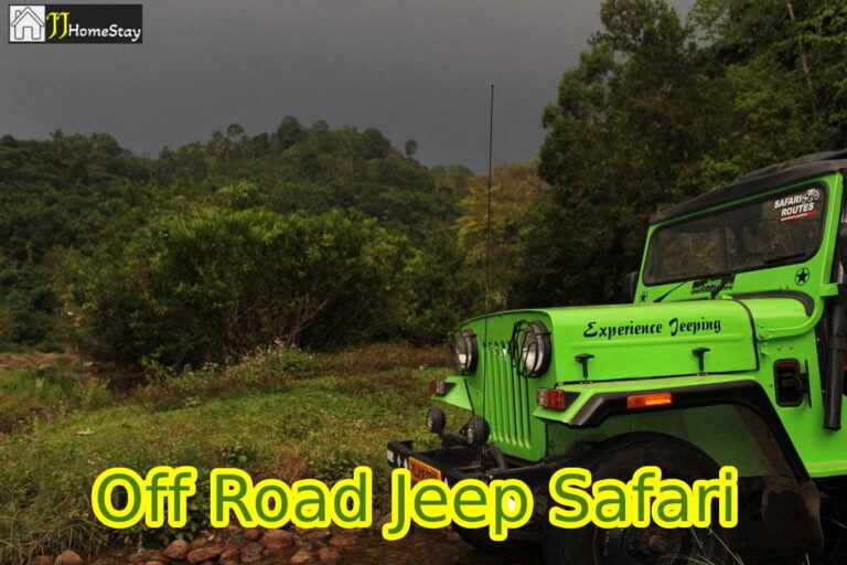 Munnar Off Road Jeep Rides (Anachal Surroundings)