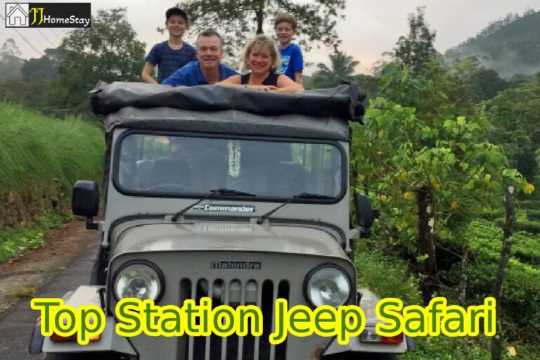 Top Station Jeep Safari in Munnar